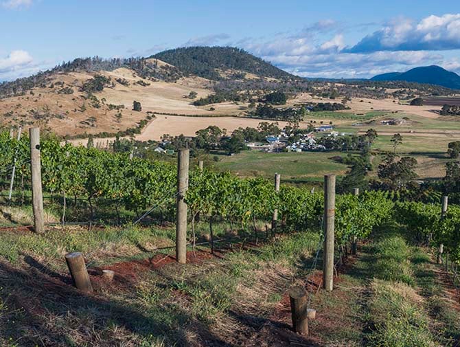 100023 Pooley Wines, Tasmania.jpg